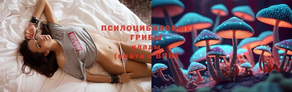 дурь Гусиноозёрск