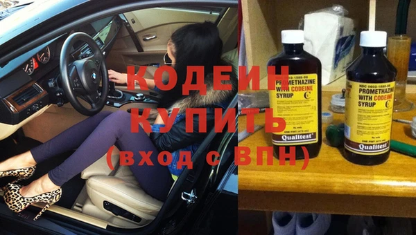 дурь Гусиноозёрск