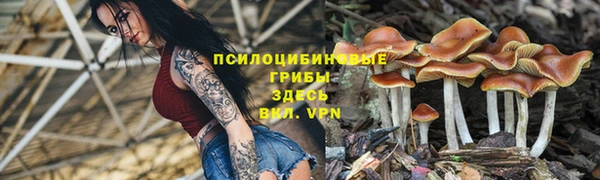 дурь Гусиноозёрск