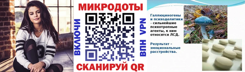 Купить где  Жиздра  Галлюциногенные грибы Cubensis 