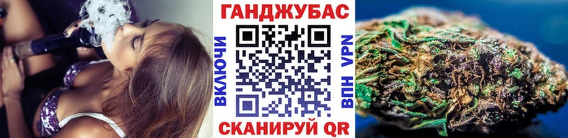 Купить  Жиздра  Марихуана Amnesia 